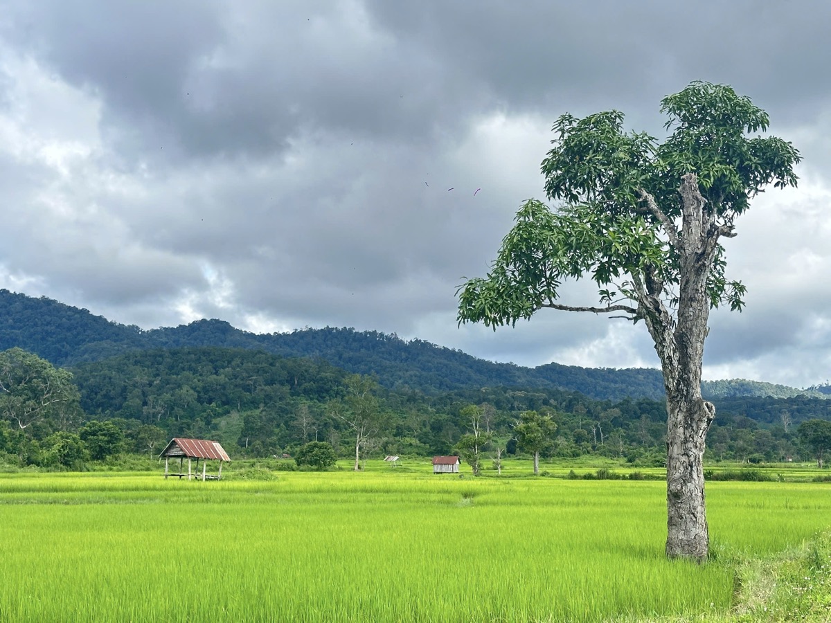 Vườn Quốc Gia Kon Ka Kinh tại Gia Lai